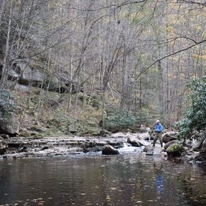 Meet your Posher, Will